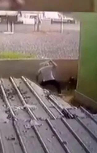 Tavuklarına saldırdığı gerekçesiyle köpeği sopayla öldüresiye dövdü