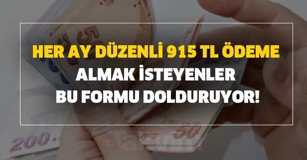 Her ay düzenli 915 TL ödeme almak isteyenler bu formu dolduruyor! Hemen başvuru yapın!