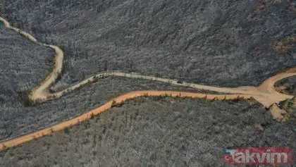 Marmaris’te küle dönen ormanlık alan havadan görüntülendi! 4 bin 500 hektar orman yok oldu