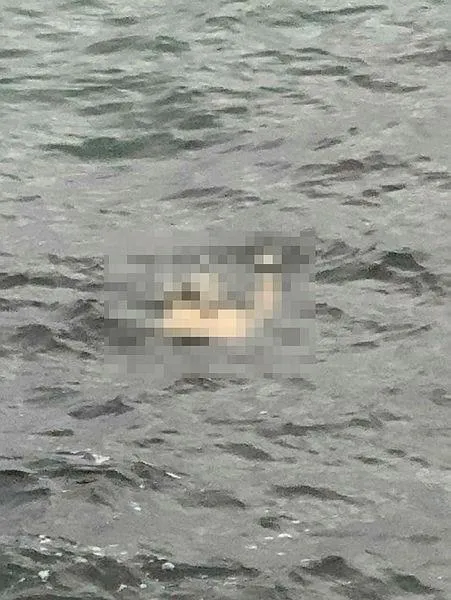 ekipleri-harekete-geciren-olay-vatandaslar-gorur-gormez-polise-haber-verdi-kimligi-arastiriliyor-1671198500189.jpeg Ekipleri harekete geçiren olay! Vatandaşlar görür görmez polise haber verdi! Kimliği araştırılıyor-3