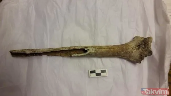 Çanakkale şehitliğinden asker kemiği kaçırmışlar: O eser çok konuşuldu | Atatürk'ün eşyaları da var! - 8