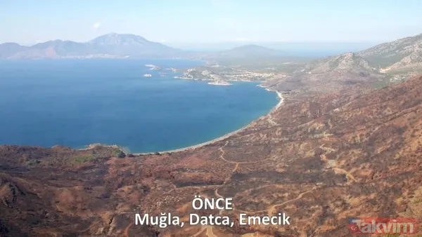 CHP ve yandaşı medyanın yangınlar üzerinden kirli algı oyunu çöktü: 'Otel yapacaklar' dedikleri alanlar tek tek yeşillendirildi - 29