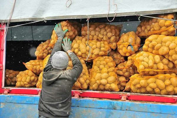 baskan-erdoganin-mujdesi-ciftciyi-sevince-bogdu-1618072137544.jpg Başkan Erdoğan'ın müjdesi çiftçiyi sevince boğdu!-3
