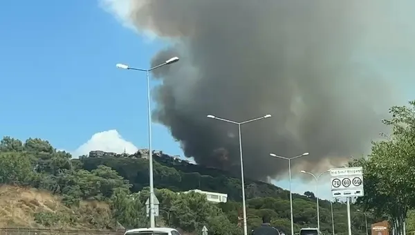 Maltepe Başıbüyük Ormanı'ndaki yangın söndürüldü!-2