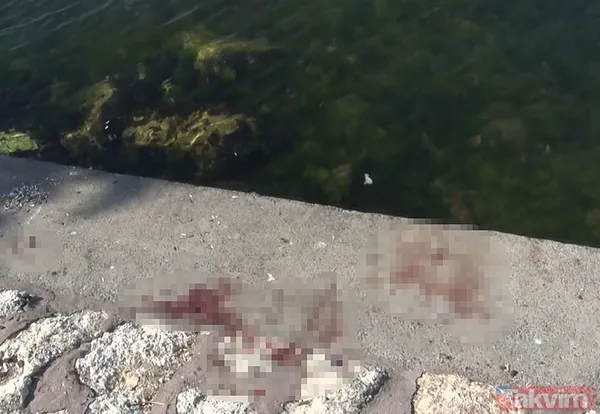 Avcılar'da kan donduran cinayet! Önce bıçakladılar sonra denize attılar | Sicilleri kabarık çıktı: 2 gün önce cezaevinden... - 9