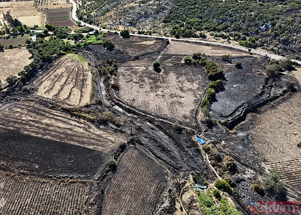 Çeşme yangınında zarar gören alanlar görüntülendi: Her şeyimiz yandı - 29