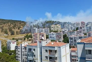 İzmir'de 3 ilçede orman yangını: Ekipler havadan ve karadan müdahale ediyor