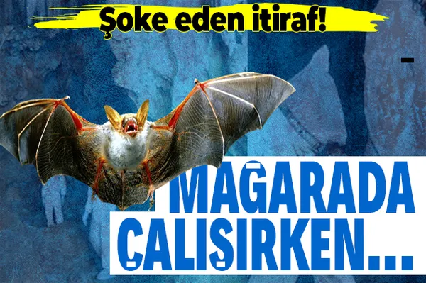 Çinli bilim insanlarından dünyayı şoke eden koronavirüs itirafı: Isırıldık!-1