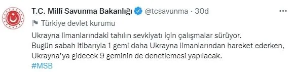 Son dakika: Tahıl sevkiyatı kapsamında Ukrayna'dan bir gemi daha hareket etti-1
