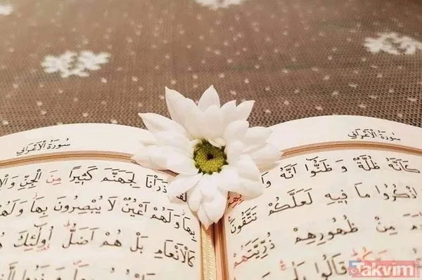 Arefe günü namazları nelerdir, hangi namazlar kılınır? Arefe günü Tesbih, kuşluk ve şükür namazı kılınışı! AREFE GÜNÜ İBADETLERİ 2023! - 2