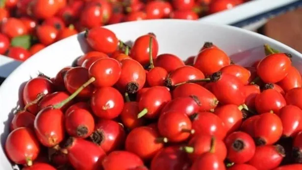 sackiran-cilesine-kortizon-ile-son-prof-dr-burhan-engin-acikliyor-1638129488568.jpeg Saçkıran çilesine kortizon ile son! Prof. Dr. Burhan Engin açıklıyor...-3