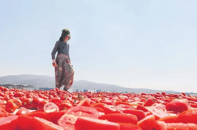 Kırmızı mesai