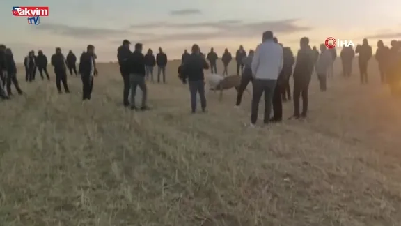 Jandarmadan köpek dövüşçülerine suçüstü