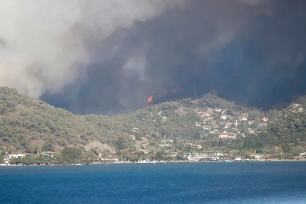 son-dakika-turkiyede-orman-yanginlarinda-son-durum-guzel-haberler-pes-pese-geliyor-1627802065359.jpg SON DAKİKA: Türkiye'de orman yangınlarında son durum! Yangından etkilenen 5 ile 11 milyon TL'lik daha kaynak-12