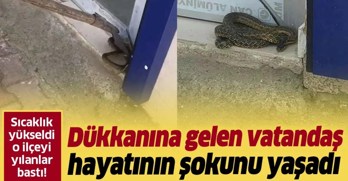 dukkaninin kapisinda gorunce soka girdi