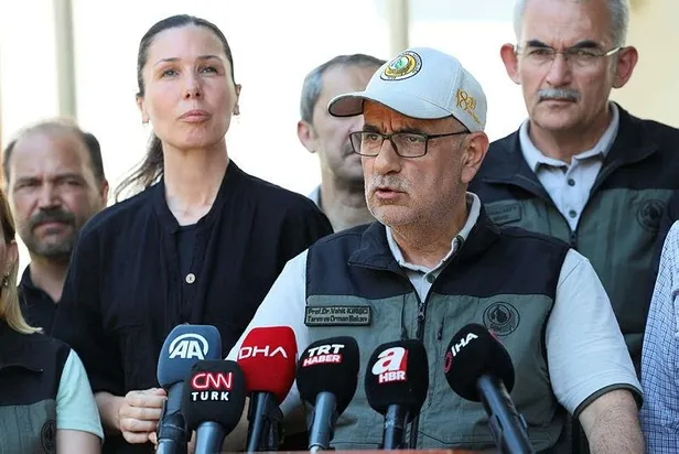 Muğla ve İzmir'de peş peşe orman yangınları! Datça'daki yangın kontrol altında-6