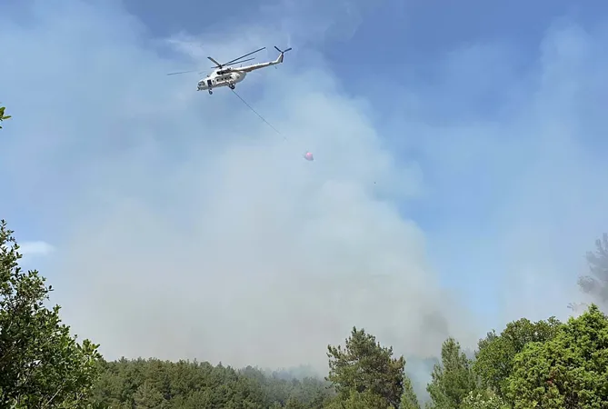 Çanakkale Eceabat’ta yangın!