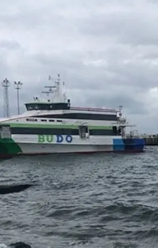 İDO ve BUDO'dan sefer iptalleri!