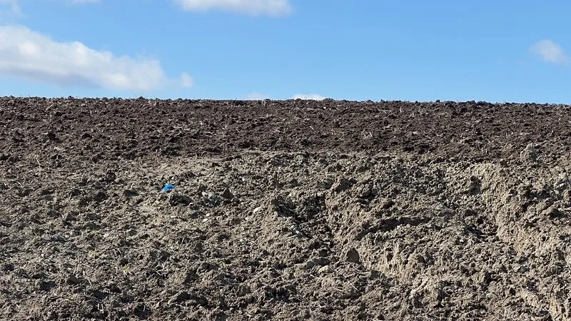 İstanbul’da korkunç infaz: Çinli iş insanı bağlanıp diri diri gömüldü-5
