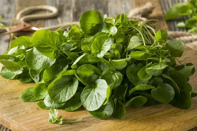 Gözlere doğal ilaç tere! İçerisindeki A vitamini sayesinde katarak riskini azaltıyor