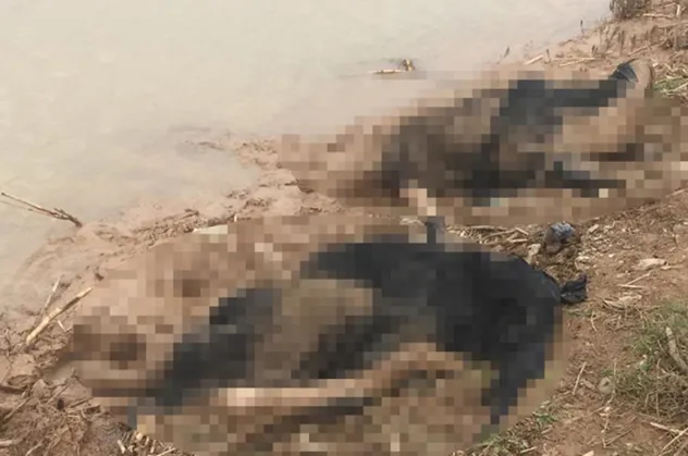 Hatay'da korkunç olay! 3 kadın cesedi bulundu