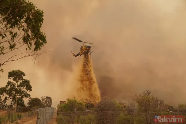 SON DAKİKA: Avustralya'da yangın faciası! 71 ev kül oldu - 22