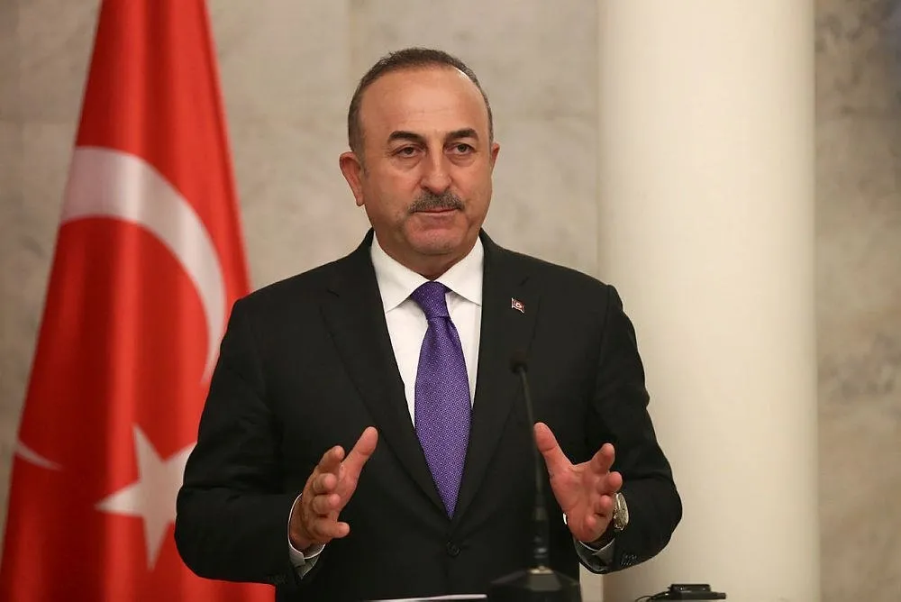 Çavuşoğlu Avusturya mevkidaşıyla görüştü