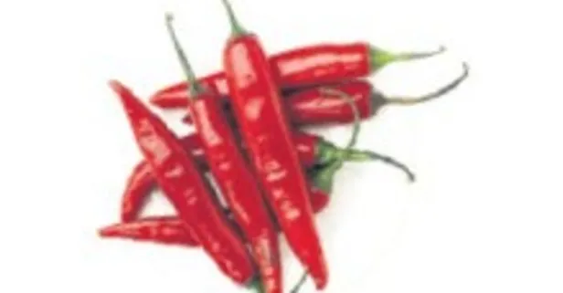 Acı biberin şaşırtan faydaları: Migreni bitiriyor, yaşlanmayı erteliyor
