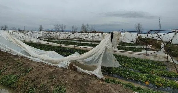 Sebzeyi don vurdu: Artan fiyatlar mart ayında yarı yarıya düşecek!-2