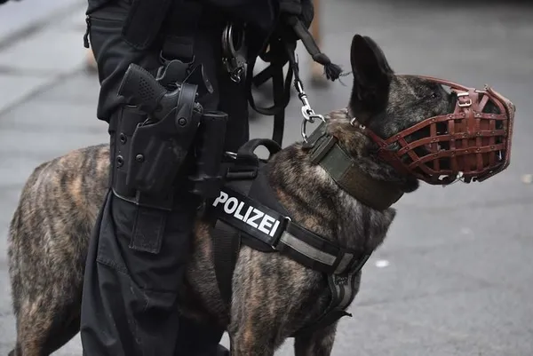 Terör örgütü PYD/PKK yandaşları Berlin'i karıştırdı-5