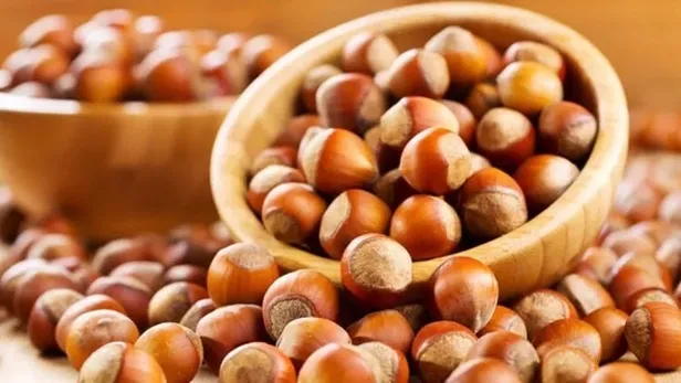 30-temmuz-2022-findik-fiyatlari-ne-kadar-oldu-guncel-findik-fiyatlari-belli-oldu-1659193117848.jpeg Başkan Erdoğan açıkladı! 30 Temmuz 2022 Fındık fiyatları ne kadar oldu? Güncel fındık fiyatları belli oldu!-5