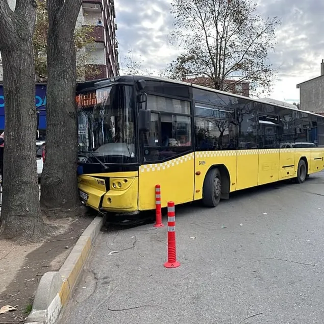 İETT ağaca çarptı!