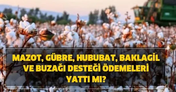 2020 mazot gübre desteği ne zaman ödenecek? Mazot, gübre, hububat, baklagil ve buzağı desteği ödemeleri yattı mı?