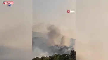 Bolu Göynük’te ormanlık alanda yangın çıktı!