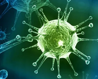 Corona virüsü nedir, belirtileri nelerdir? Korona virüsü nasıl bulaşır, öldürücü mü? Hangi ülkelerde var?