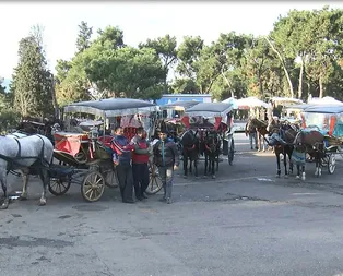 Son dakika: İstanbul Valisi Yerlikayadan ruam hastalığı açıklaması