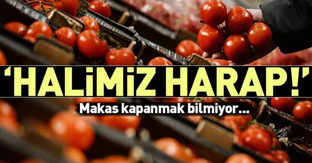 Halimiz harap | Domates tarlada 3, markette 9 lira