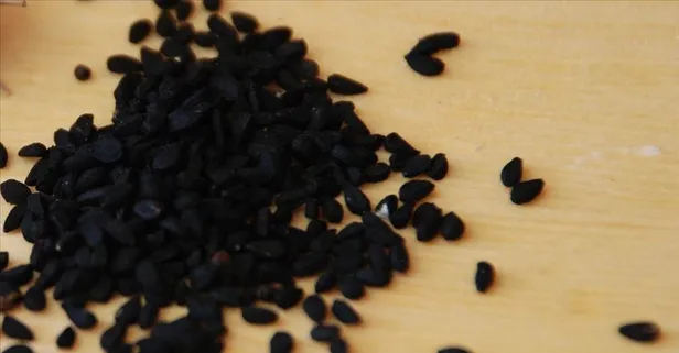 Öksürüğe çörek otu