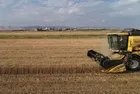 TMO rekor kırdı