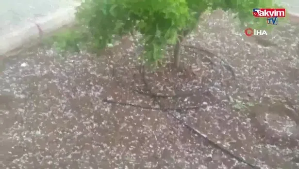 Hatay'da misket büyüklüğünde yağan dolu tarım alanlarına zarar verdi