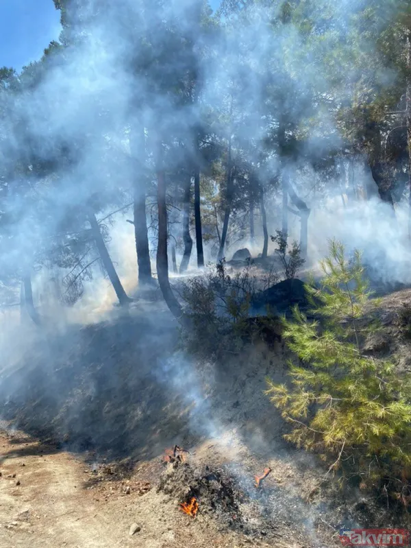 SON DAKİKA: Antalya Kaş'ta orman yangını! Kontrol altına alındı - 6