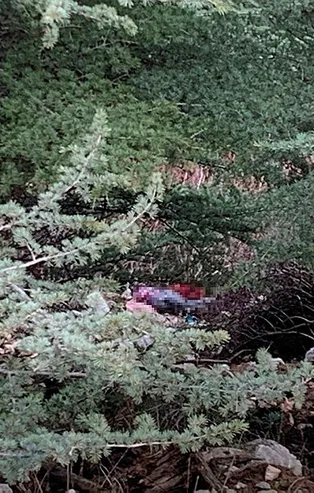 Isparta'da 13 gündür aranan Gülsüm Doğan'ın cesedi bulundu