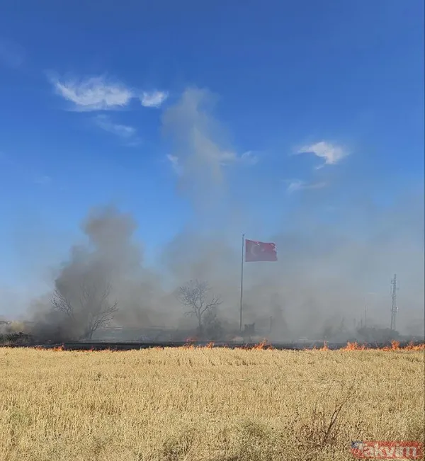 Edirne'de yangın, hayvanların barındığı ağıla sıçradı! - 10