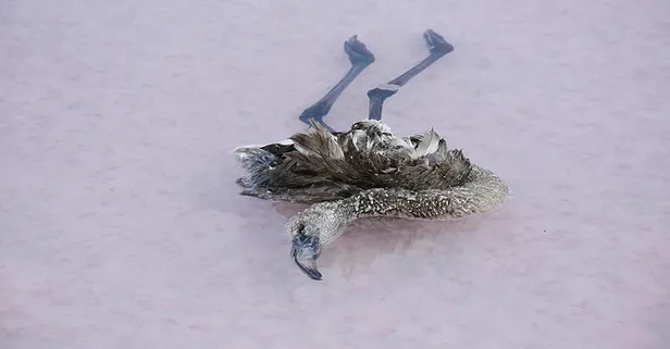 Tuz Gölü’nde esrarengiz olay! Ölü bulundular