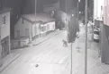Sivas Zara'da ayı tedirginliği