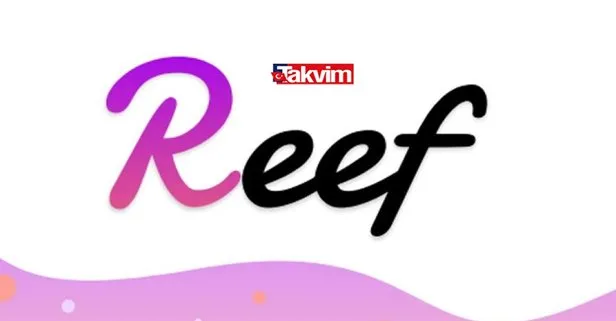 Reef coin nedir, nasıl alınır? REEF coin ne zaman çıktı? Kurucusu kim?