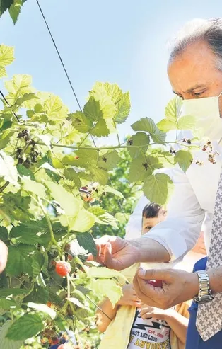 Toprak bereketleniyor Bursa kazanıyor