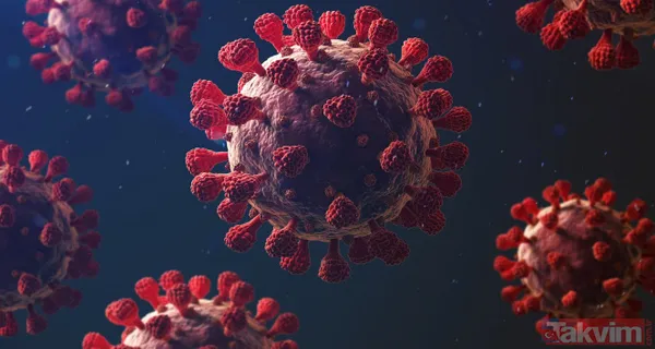 Küresel maymun çiçeği vakalarında artış! DSÖ son verileri duyurdu: Maymun çiçeği nasıl yayılıyor? Hastalığın belirtileri neler? - 9