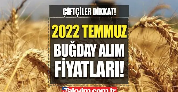 TMO buğday alım fiyatları 2022|  Buğday, arpa, mısır alım fiyatları ne kadar 2022? Çiftçilere çifte bayram!