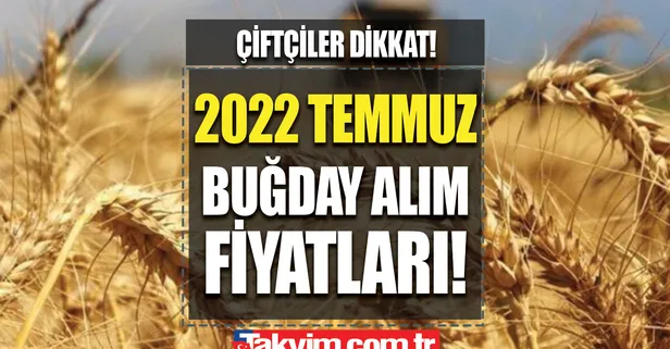 TMO buğday alım fiyatları 2022| Buğday, arpa, mısır alım fiyatları ne kadar 2022? Çiftçilere çifte bayram!